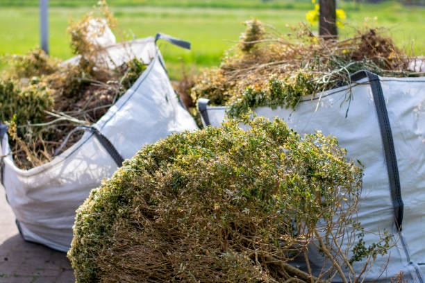 Best Office Junk Removal  in Woodstock, AL